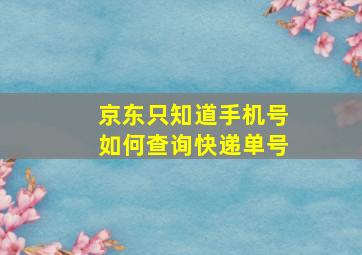 京东只知道手机号如何查询快递单号