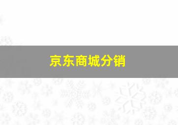 京东商城分销