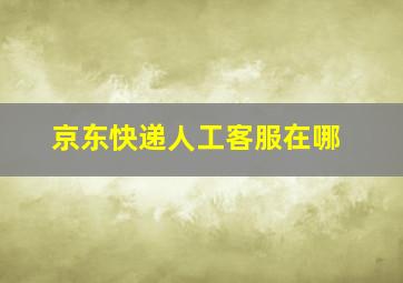 京东快递人工客服在哪