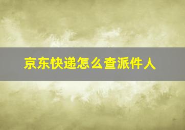 京东快递怎么查派件人