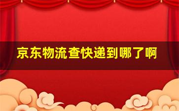 京东物流查快递到哪了啊