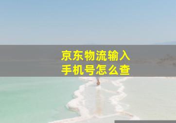 京东物流输入手机号怎么查