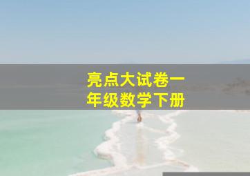 亮点大试卷一年级数学下册