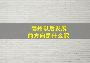 亳州以后发展的方向是什么呢