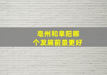 亳州和阜阳哪个发展前景更好