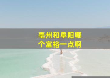 亳州和阜阳哪个富裕一点啊