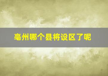 亳州哪个县将设区了呢