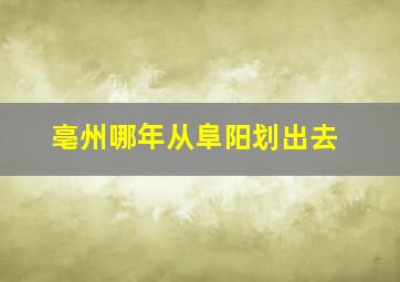 亳州哪年从阜阳划出去