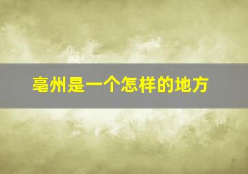 亳州是一个怎样的地方