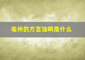 亳州的方言油响是什么