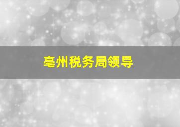 亳州税务局领导