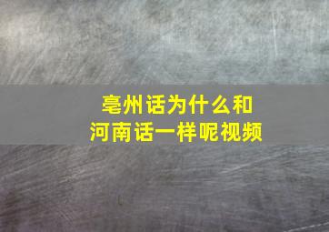 亳州话为什么和河南话一样呢视频