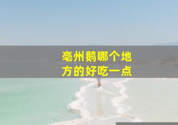 亳州鹅哪个地方的好吃一点