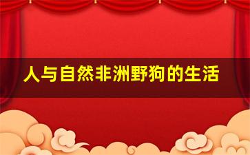 人与自然非洲野狗的生活