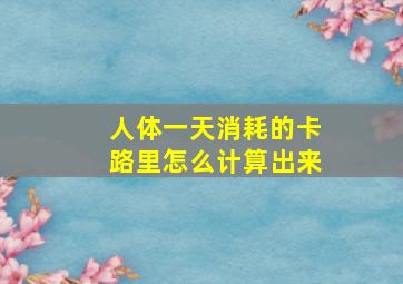 人体一天消耗的卡路里怎么计算出来