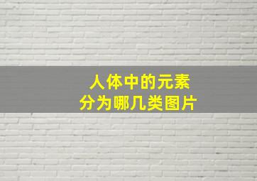 人体中的元素分为哪几类图片