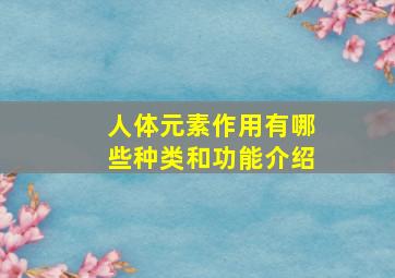 人体元素作用有哪些种类和功能介绍