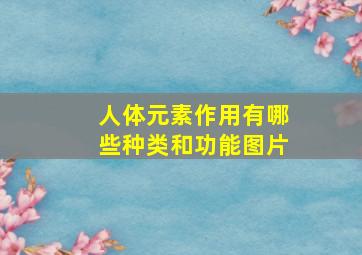 人体元素作用有哪些种类和功能图片