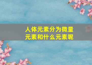 人体元素分为微量元素和什么元素呢