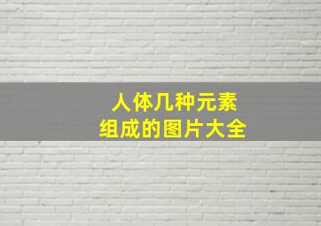 人体几种元素组成的图片大全