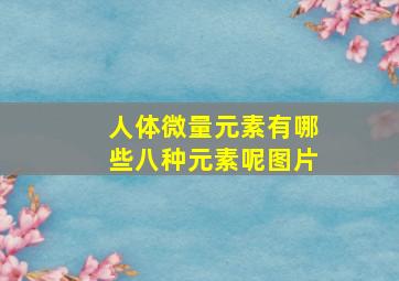 人体微量元素有哪些八种元素呢图片