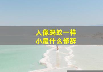 人像蚂蚁一样小是什么修辞