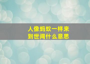 人像蚂蚁一样来到世间什么意思