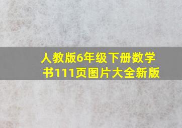 人教版6年级下册数学书111页图片大全新版