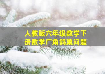 人教版六年级数学下册数学广角鸽巢问题