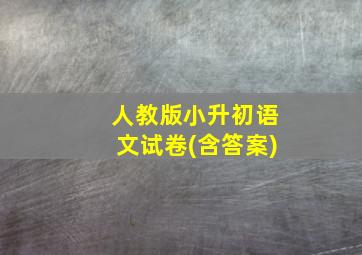 人教版小升初语文试卷(含答案)