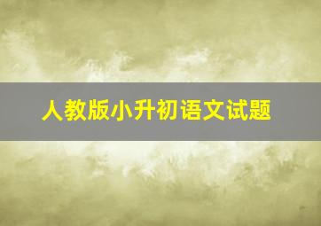 人教版小升初语文试题