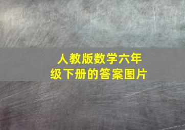 人教版数学六年级下册的答案图片