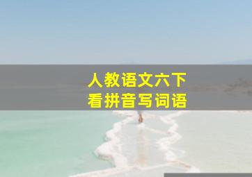 人教语文六下看拼音写词语