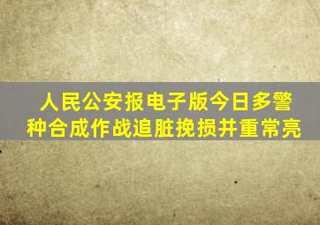 人民公安报电子版今日多警种合成作战追脏挽损并重常亮