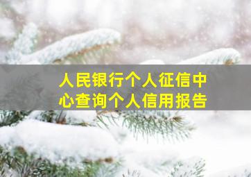 人民银行个人征信中心查询个人信用报告