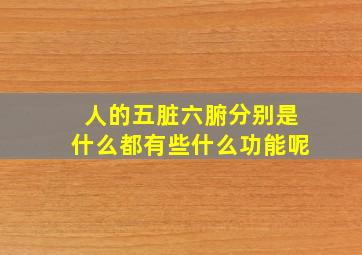 人的五脏六腑分别是什么都有些什么功能呢