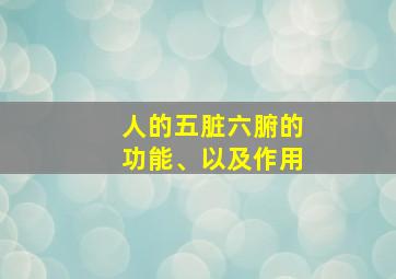 人的五脏六腑的功能、以及作用