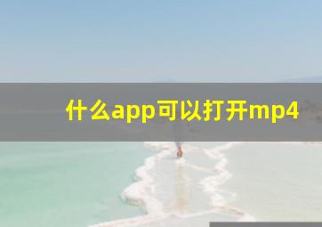 什么app可以打开mp4