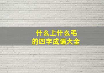 什么上什么毛的四字成语大全