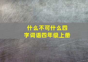 什么不可什么四字词语四年级上册