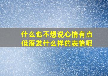 什么也不想说心情有点低落发什么样的表情呢