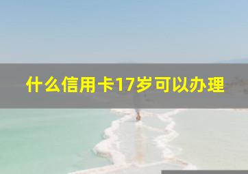 什么信用卡17岁可以办理