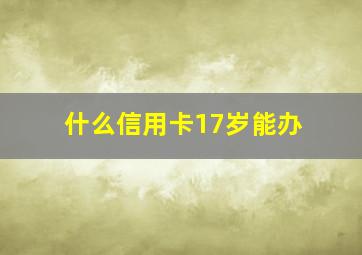 什么信用卡17岁能办