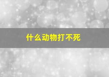 什么动物打不死