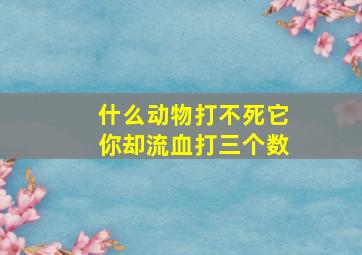 什么动物打不死它你却流血打三个数