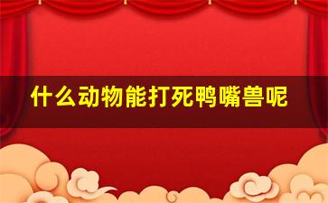 什么动物能打死鸭嘴兽呢