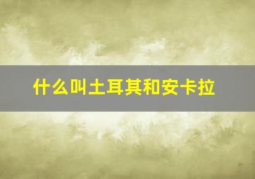 什么叫土耳其和安卡拉