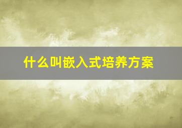 什么叫嵌入式培养方案