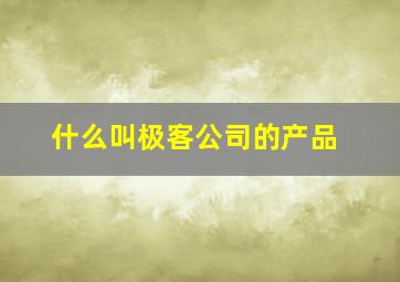 什么叫极客公司的产品