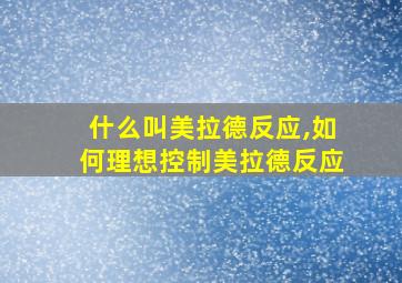 什么叫美拉德反应,如何理想控制美拉德反应